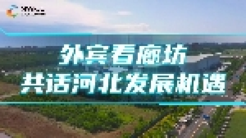 2025世界跨境电商发展大会：外宾共话河北发展机遇